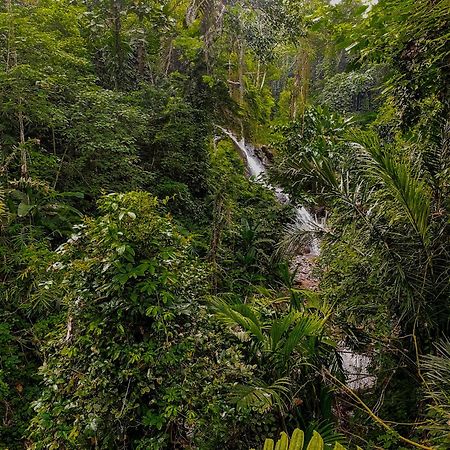 The Sebali Resort Ubud Buitenkant foto A waterfall in the park