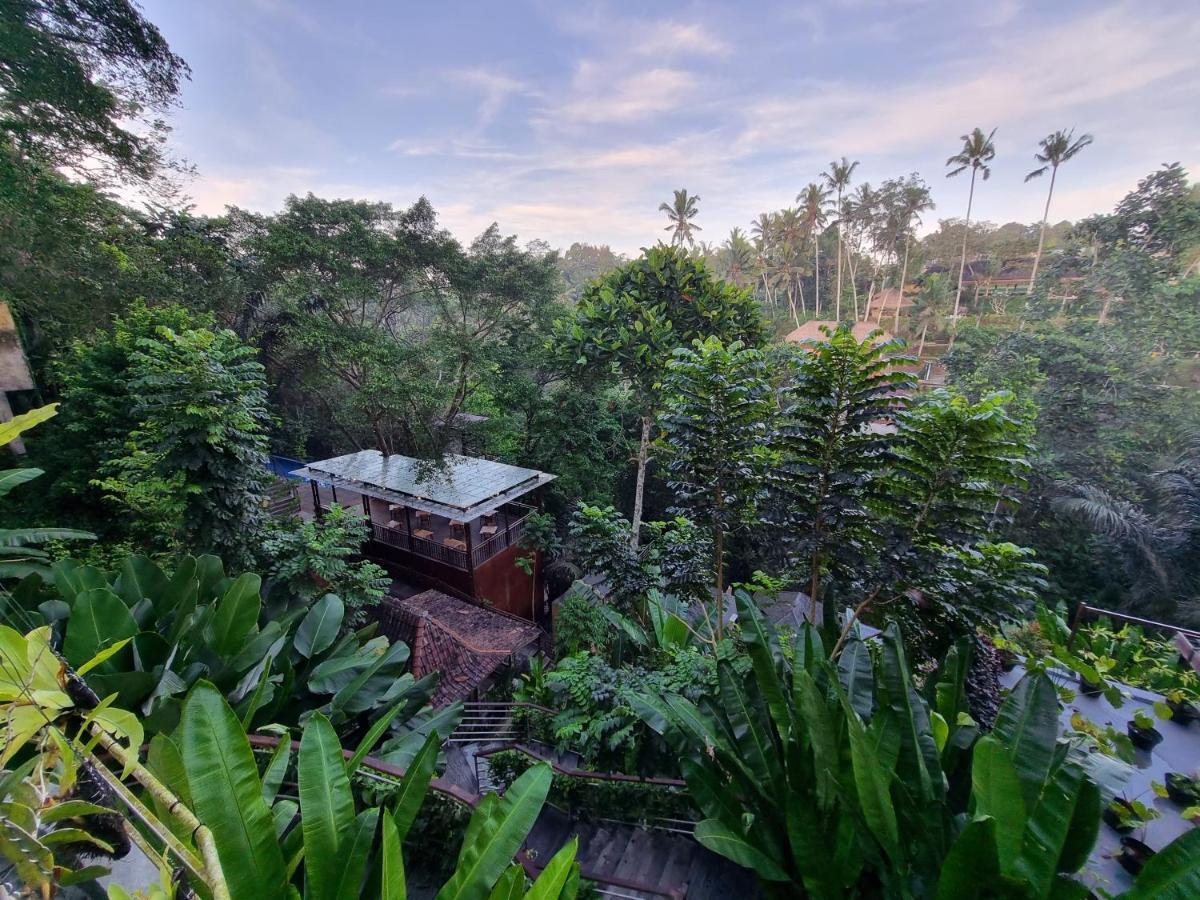 The Sebali Resort Ubud Buitenkant foto View of the resort