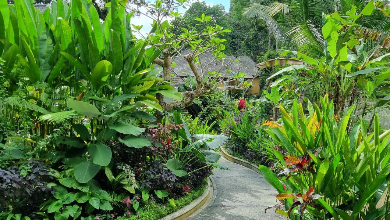 The Sebali Resort Ubud Buitenkant foto A path in the park