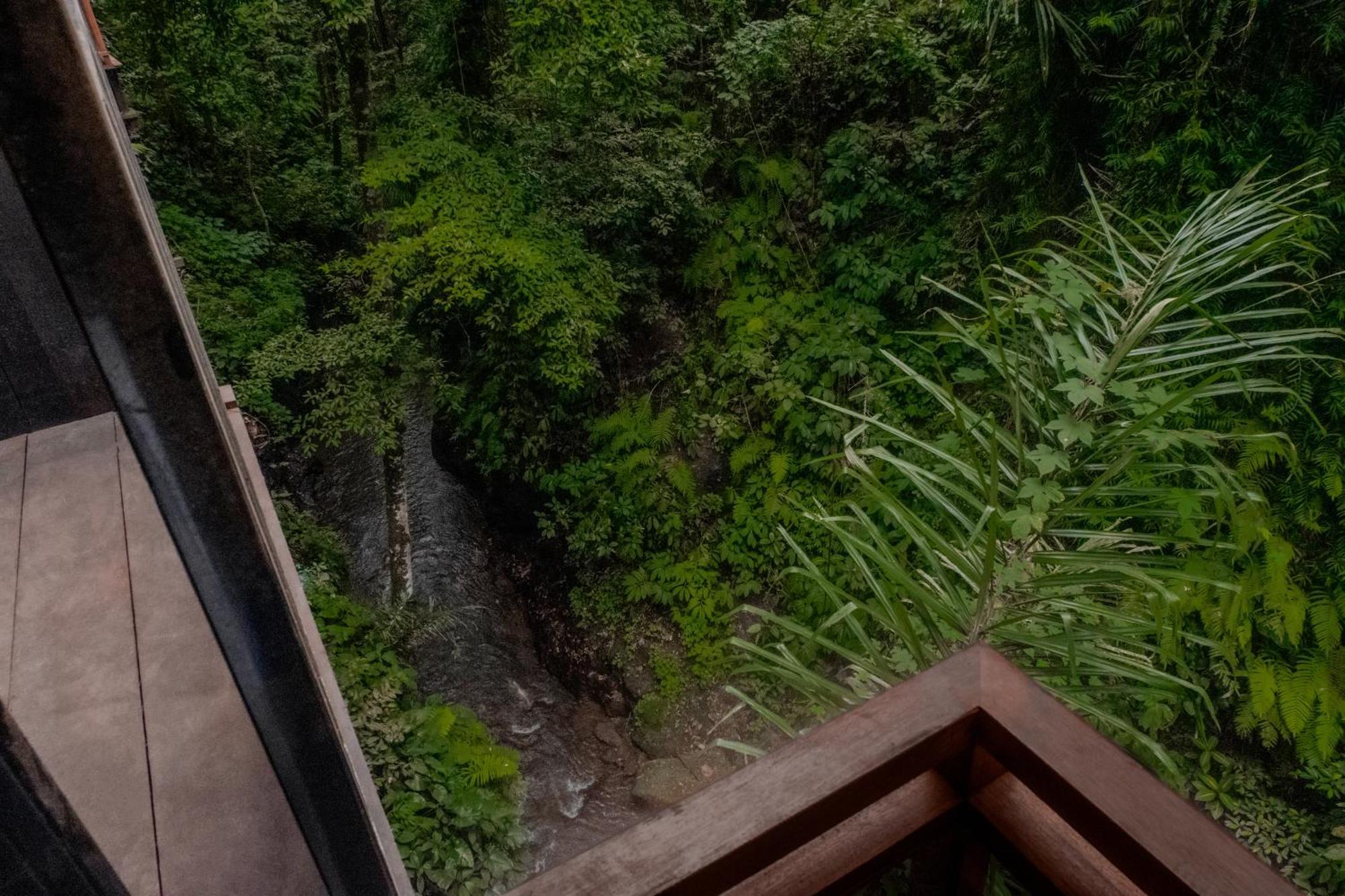 The Sebali Resort Ubud Buitenkant foto The view from the observation deck