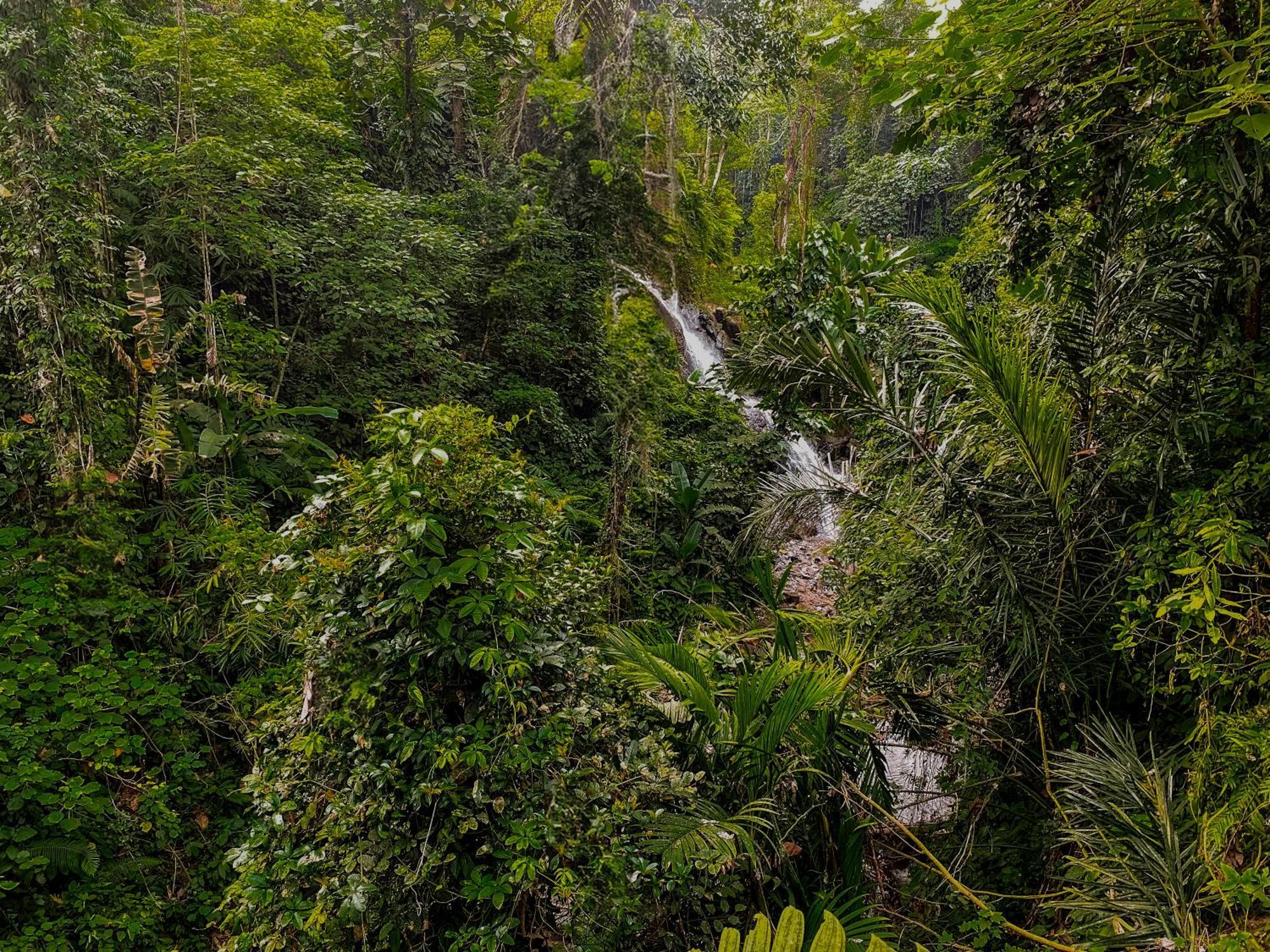 The Sebali Resort Ubud Buitenkant foto A waterfall in the park