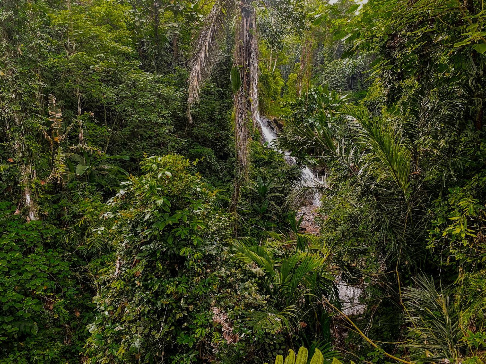 The Sebali Resort Ubud Buitenkant foto